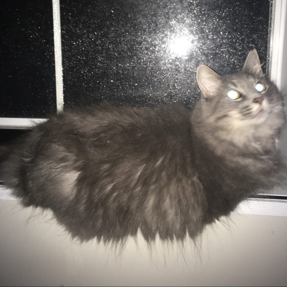 Currently conducting inventory-will be back soon! Thanks for stopping by! - Picture 2 of 3